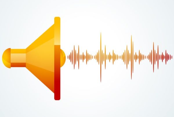 Custom Ear Plugs